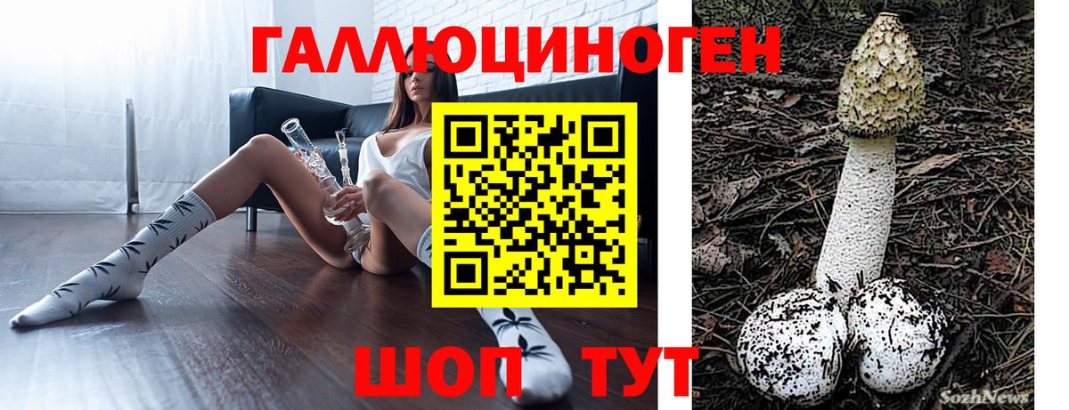 Псилоцибиновые грибы GOLDEN TEACHER Кунгур