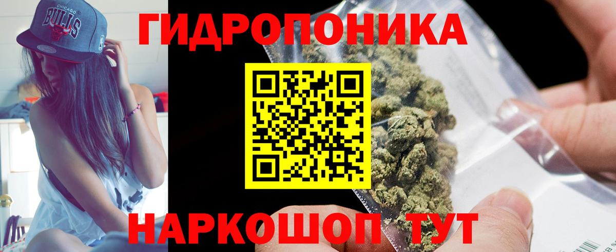 Бошки марихуана гибрид Кунгур